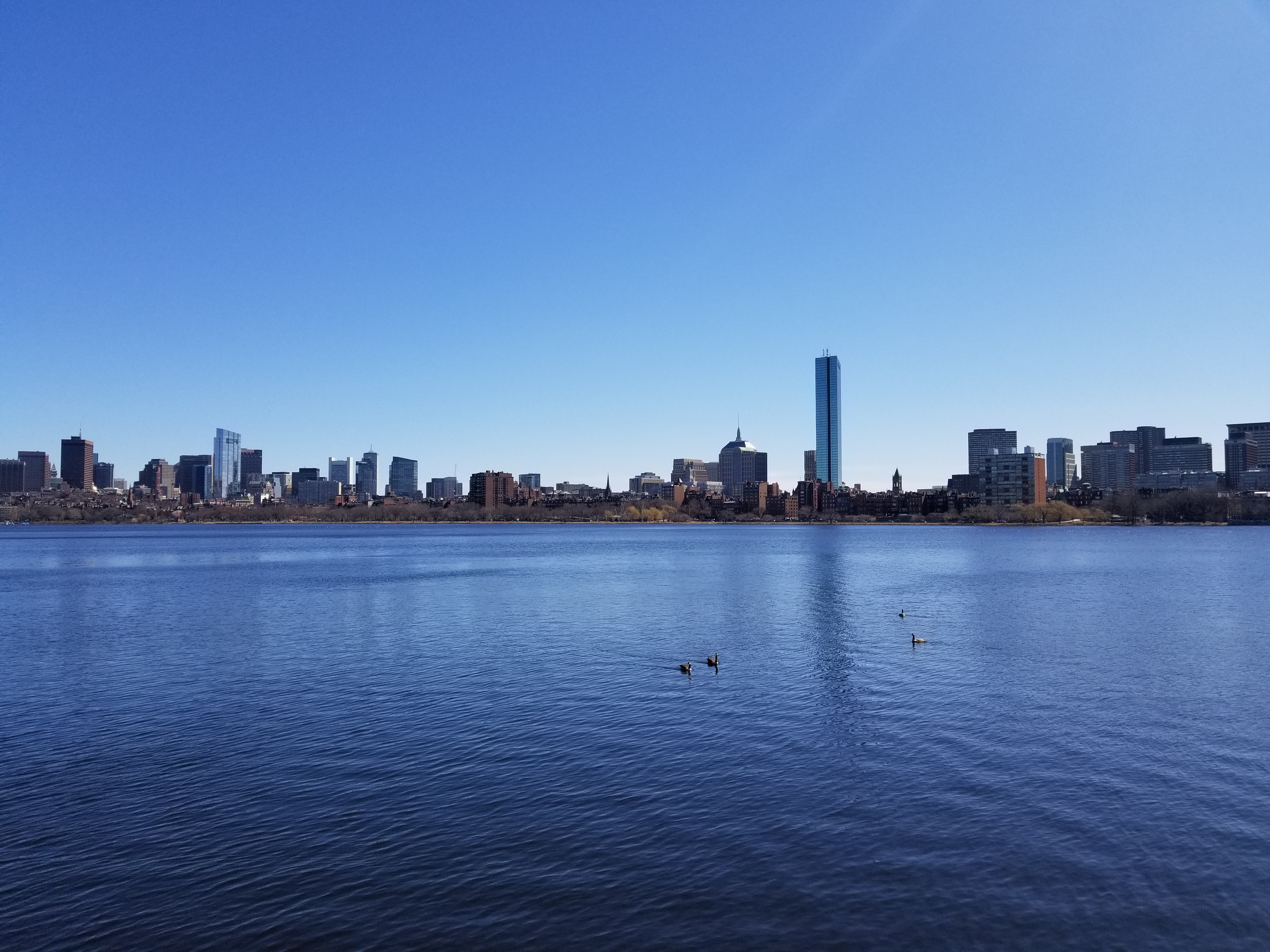 Charles River at Boston